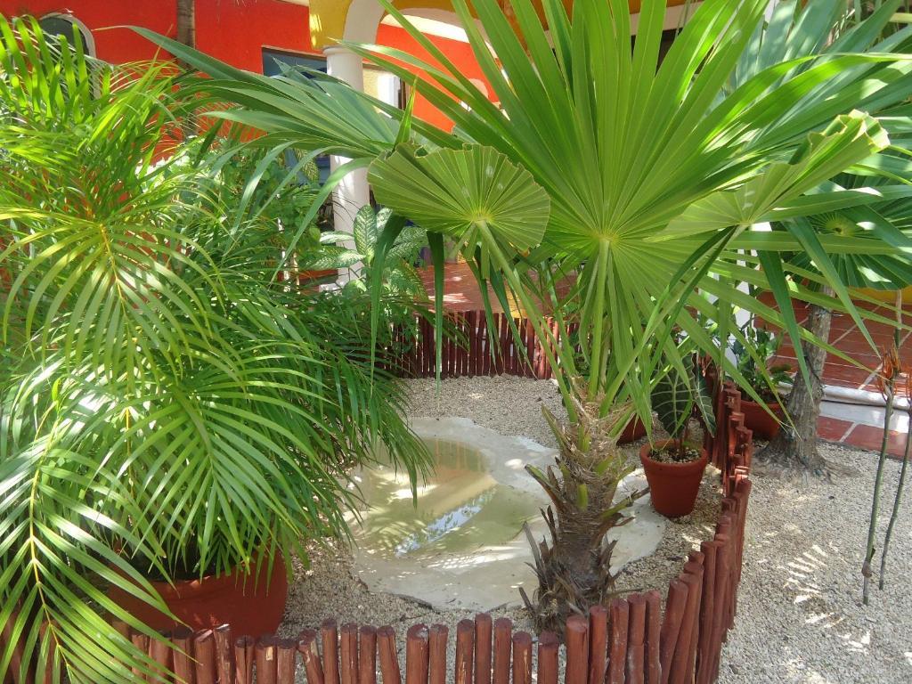 El Acuario Hotel Playa del Carmen Kültér fotó